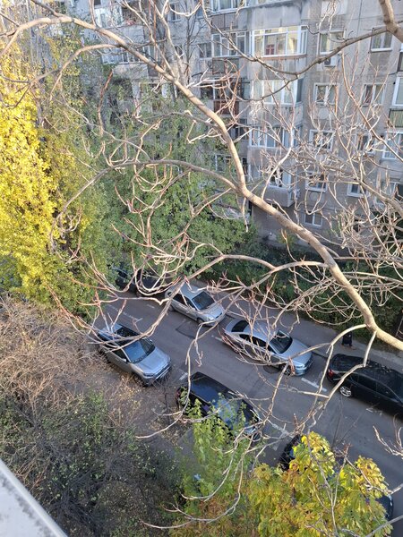 Timpuri Noi, strada Viorele nr. 28,